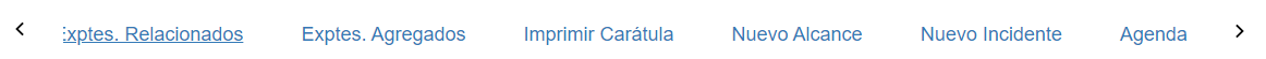 "expedientes relacionados, expedientes agregados, imprimir carátula, nuevo alcance, nuevo incidente, agenda"link=