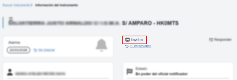Archivo:ImprimirInstrumento6.PNG