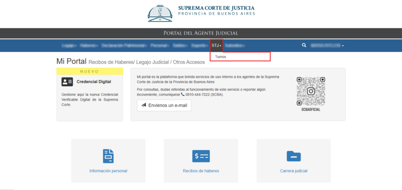 Archivo:IngresoTurnos1.PNG